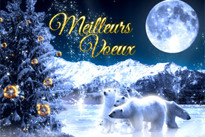 Voeux 2014